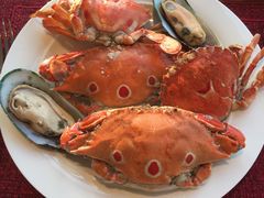 -视界美食自助餐厅·石家庄希尔顿酒店