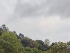 -灵光寺