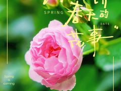 -乌村