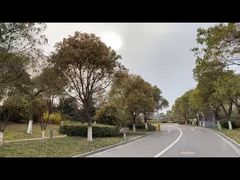 -上海滴水湖皇冠假日酒店