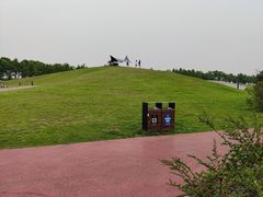 -春花秋色城市公园