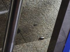 -大望路(地铁站)
