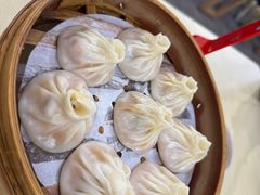 -莱莱小笼·乔艾