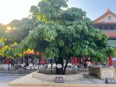 -广东圆玄道观