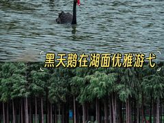 -佛冈森波拉度假区