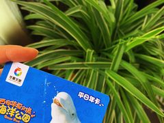 -华夏文旅海洋公园