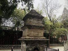 -兴教寺