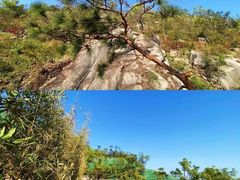 -板樟山森林公园