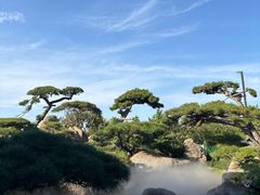 -罗红摄影艺术馆