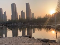 -前关湿地公园