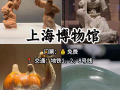 -深圳野生动物园