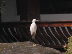 -乐山乌木文化博览苑