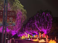 -武汉园博园(武汉自然博物馆)