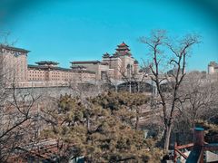 -莲花池公园