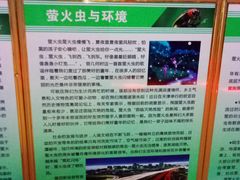 -青山公园萤火虫科普展