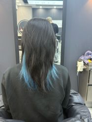 点击看大图 -藤野造型