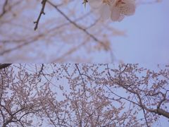 -北京明城墙遗址公园