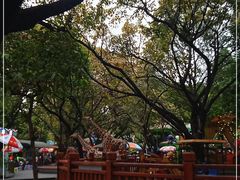 -晓港公园