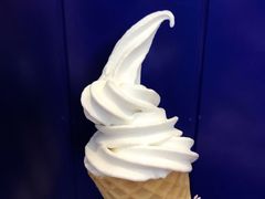 鲜椰奶冰淇淋-自然椰·海南清补凉(海月广场店)