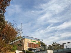 -紫金山山顶公园
