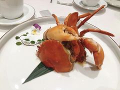 -东富酒家(龙湖西溪天街店)