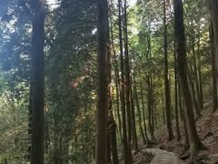 -庐山风景区花径公园