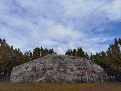 -上海海湾国家森林公园