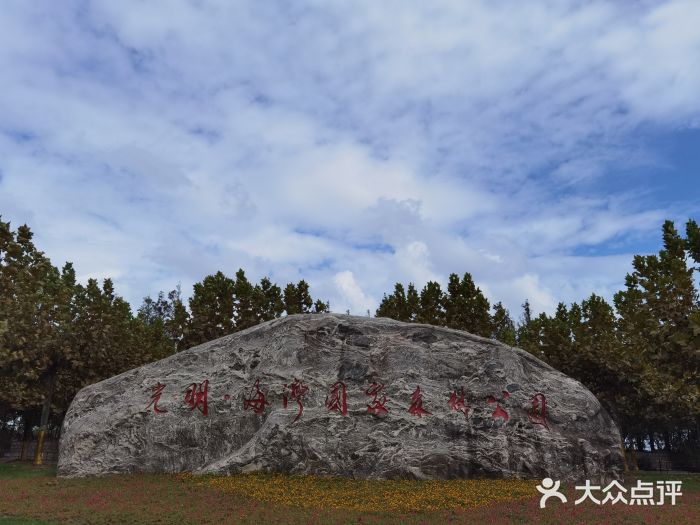 上海海湾国家森林公园图片