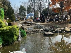 -HERRE·FARM 赫尔露营农场·团建聚会包场