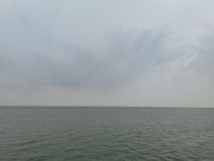 -贡湖湾湿地公园