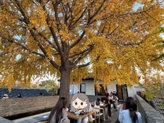 -自如ZSPACE四合院艺术餐厅