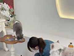 -共舞时光猫咖·狗咖(新街口店)