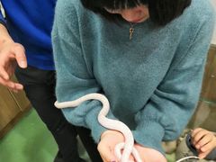 -藦茜花园宠物主题亲子互动体验馆(国顺东路店)