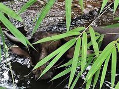 -德宏芒市国际机场