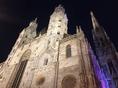 -斯蒂芬主教座堂(Stephansdom)