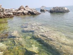 -养马岛旅游度假区