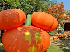 -HERRE·FARM 赫尔露营农场·团建聚会包场