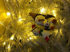 -星空失恋博物馆(北京路旗舰店)