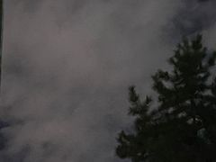 -青城公园