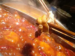 -渝味晓宇火锅(合川路店)