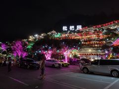 -枇杷园食为鲜火锅(南山店)
