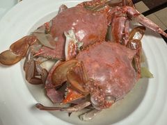 -日丰园海肠水饺·老字号大连海鲜(小平岛总店)