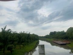 -上海海湾国家森林公园