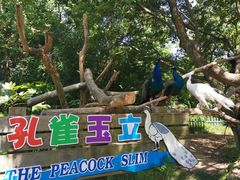 -宁波野生动物园