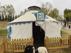 -鄂尔多斯野生动物园