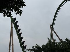 -珠海长隆海洋王国-鹦鹉过山车