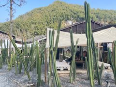 -MOJ coffee(瓯海泽雅水碓坑店)