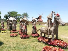 -杭州湾海上花田景区