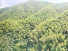 -看见远方·莫干遥远的山民宿