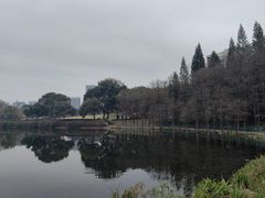 -深圳龙潭公园